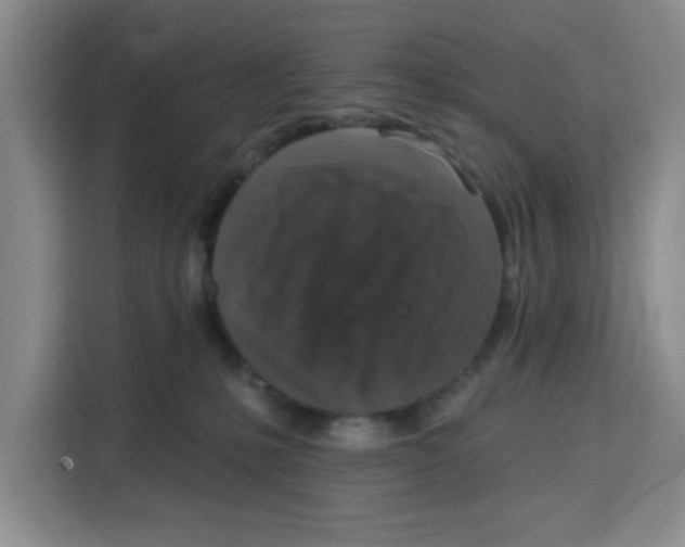 X0000115130231200911241452