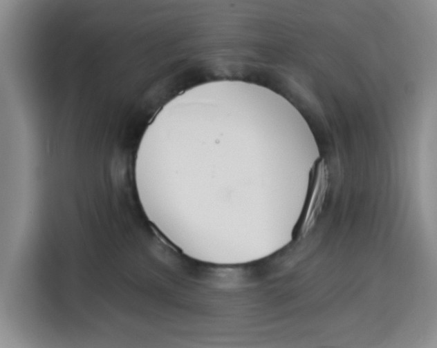 X0000115130233200911241452