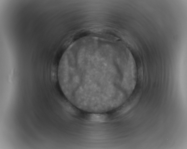X0000115130234200911241452