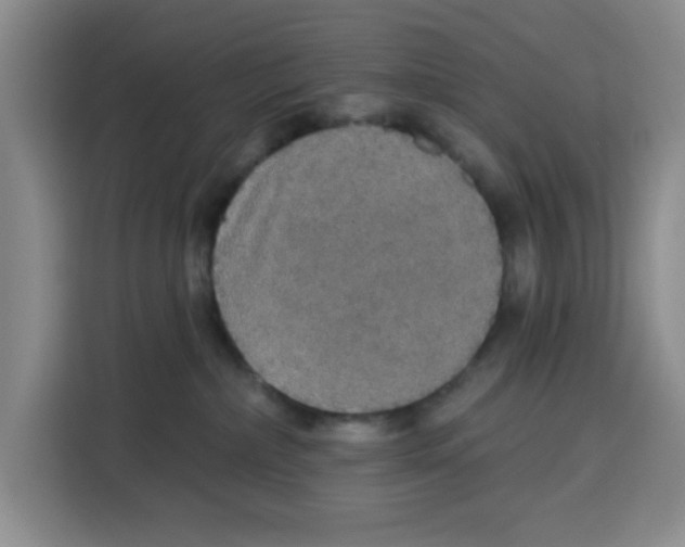 X0000115130236200911241452