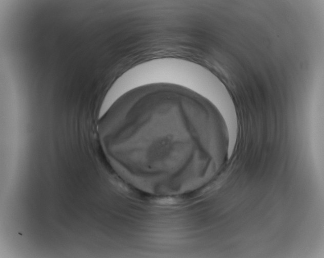 X0000115130237200911241452