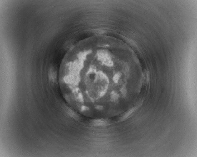 X0000115130238200911241452