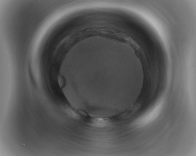 X0000115130239200911241452