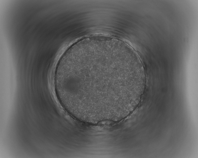 X0000115130241200911241451