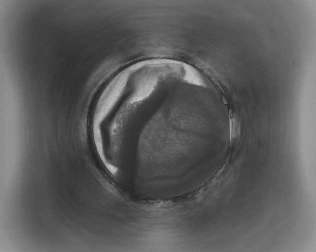 X0000115130243200911241451