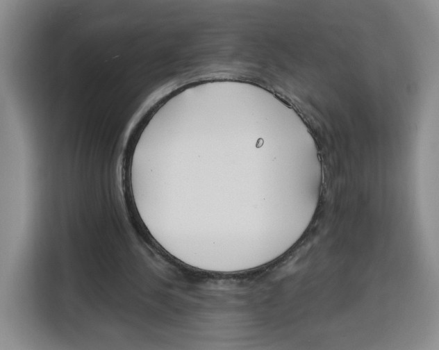 X0000115130244200911241451