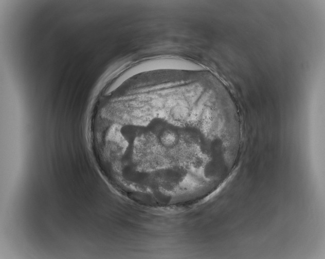 X0000115130245200911241451