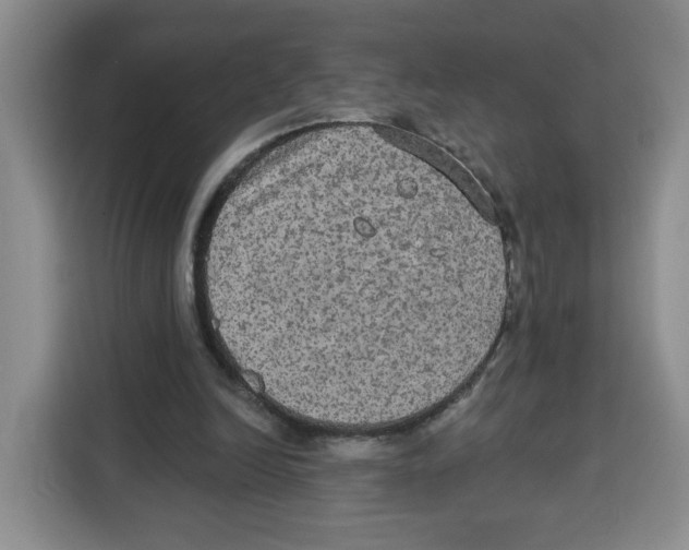 X0000115130246200911241451