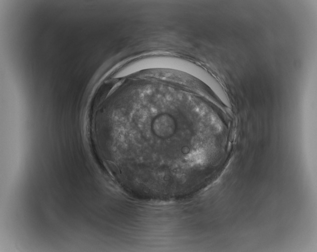 X0000115130247200911241451