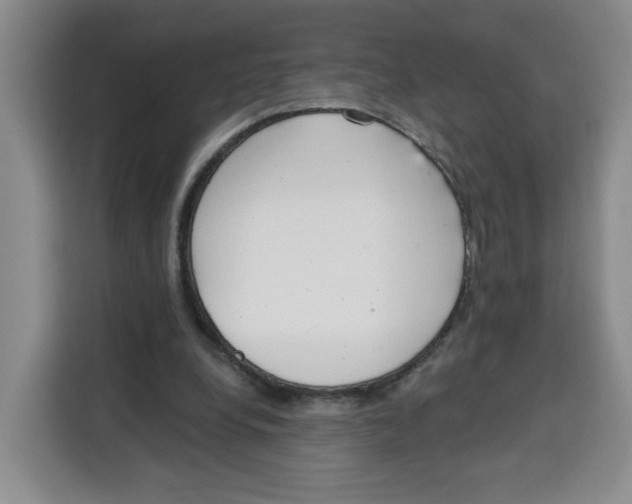 X0000115130248200911241451