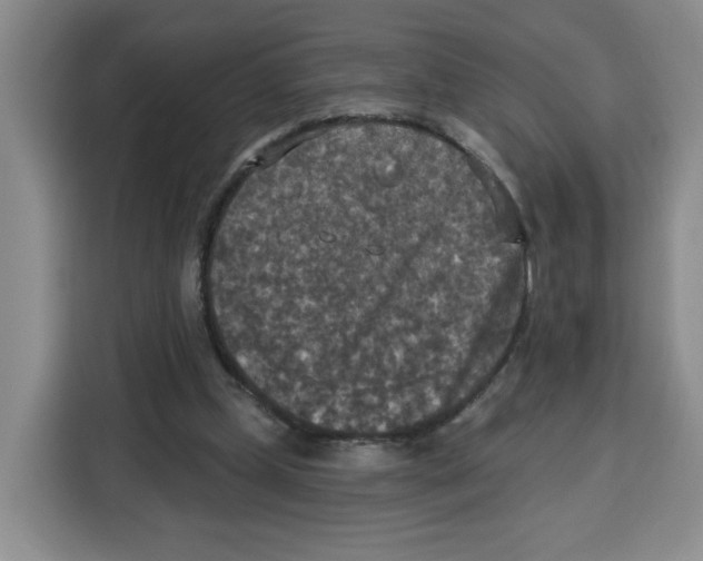 X0000115130249200911241451