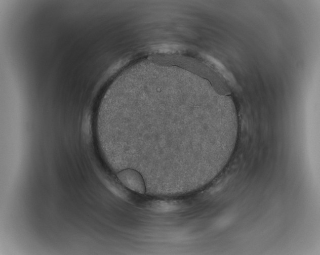 X0000115130250200911241451