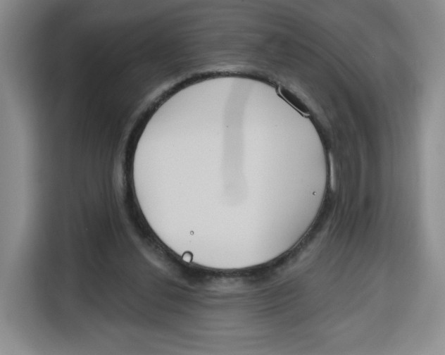 X0000115130252200911241451