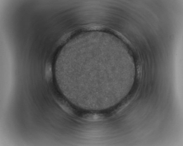 X0000115130254200911241451