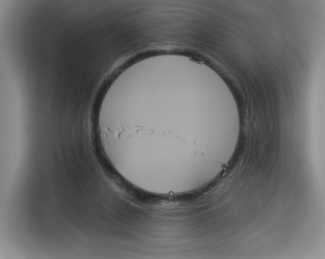 X0000115130256200911241451