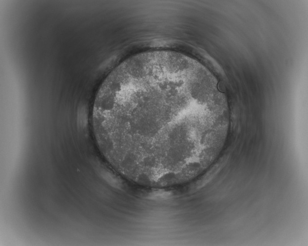 X0000115130257200911241451