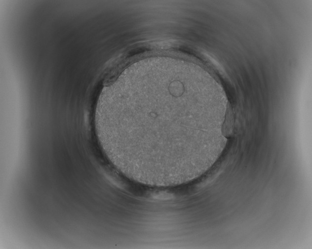 X0000115130258200911241451