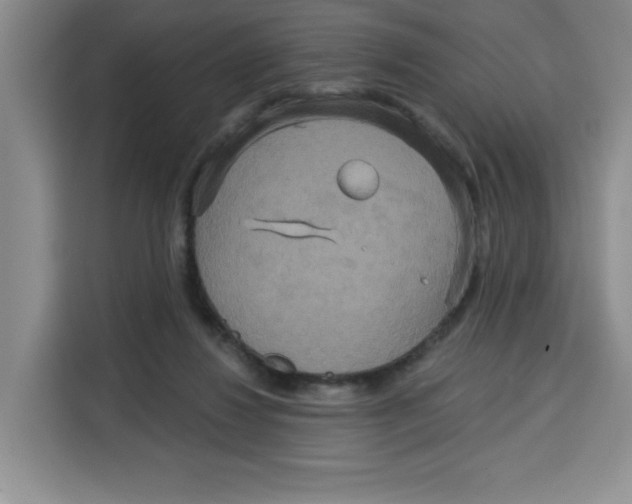 X0000115130260200911241451