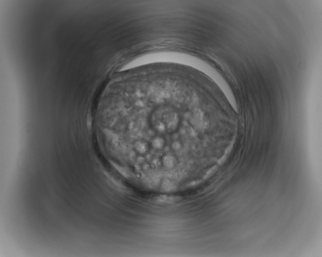 X0000115130261200911241451
