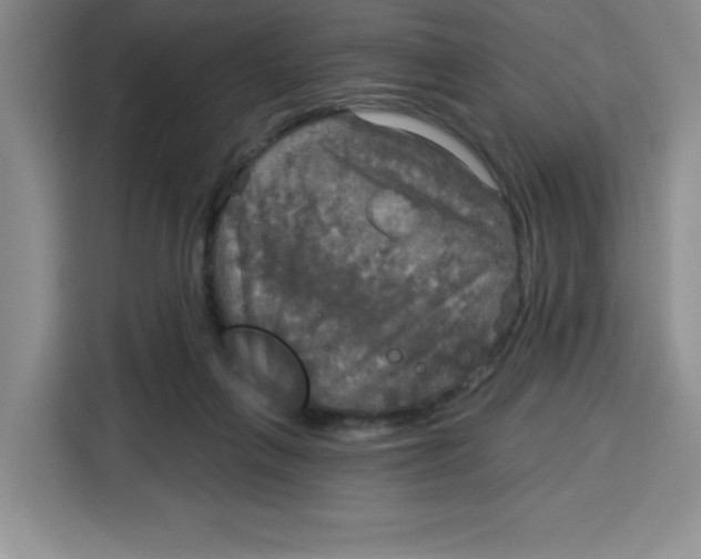 X0000115130263200911241451