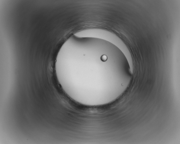 X0000115130264200911241451