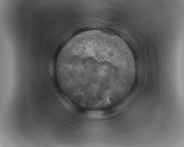 X0000115130266200911241451