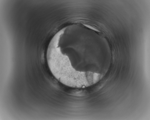X0000115130267200911241451
