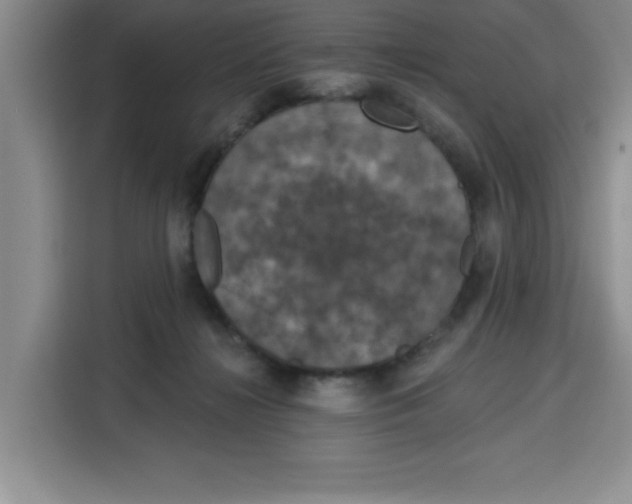 X0000115130268200911241451