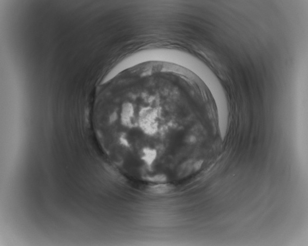 X0000115130269200911241452