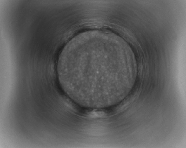 X0000115130270200911241452