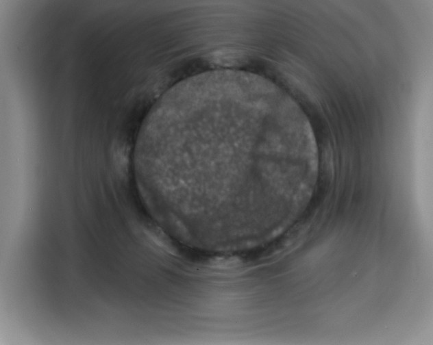 X0000115130271200911241452