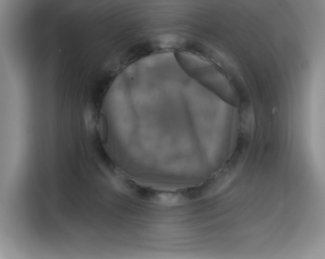 X0000115130272200911241452
