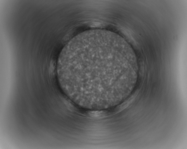 X0000115130273200911241452