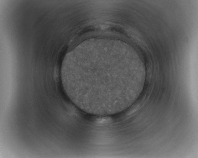 X0000115130274200911241452