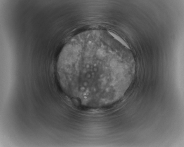 X0000115130275200911241452