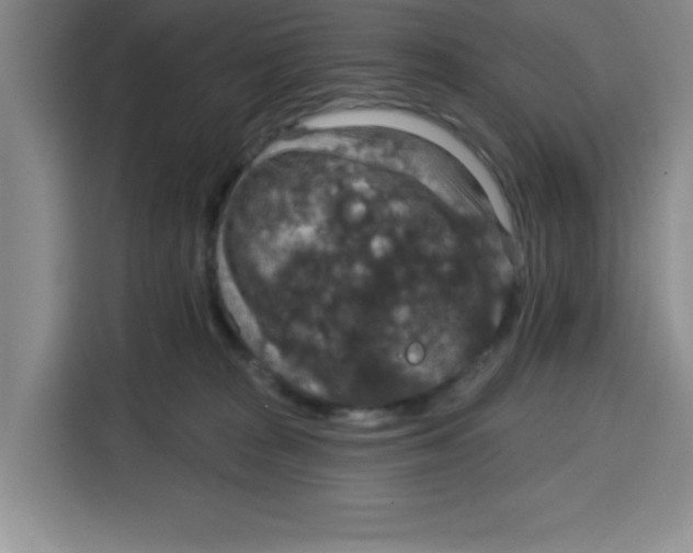 X0000115130277200911241452