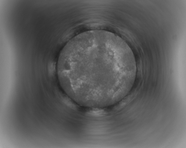 X0000115130278200911241452