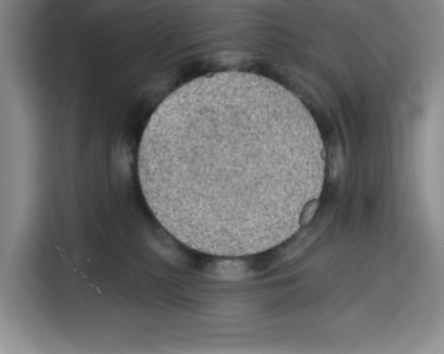 X0000115130279200911241452