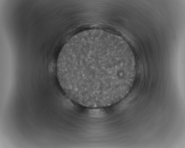 X0000115130281200911241452