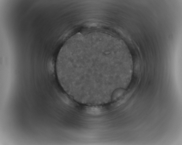 X0000115130282200911241452