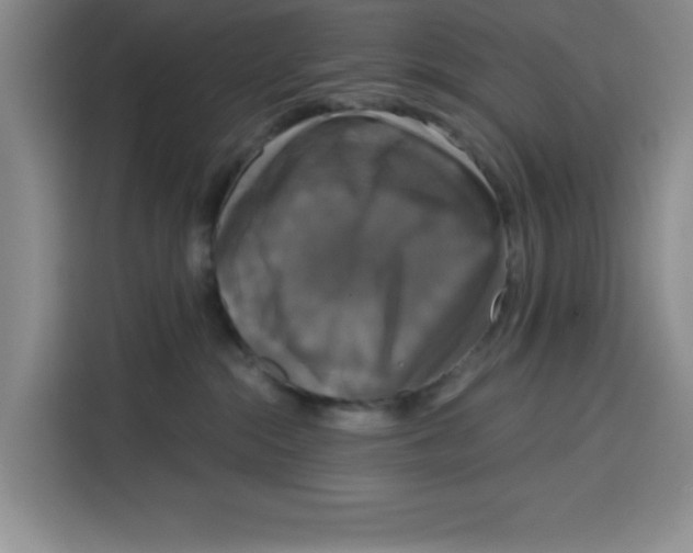 X0000115130284200911241452