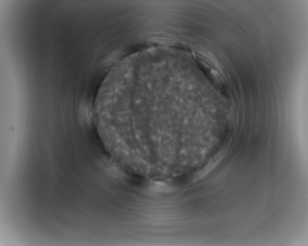 X0000115130285200911241452
