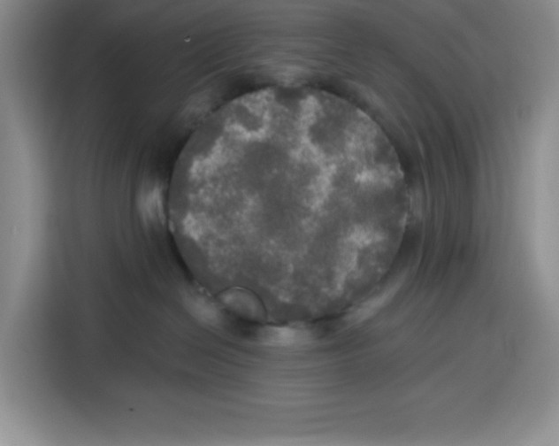 X0000115130286200911241452