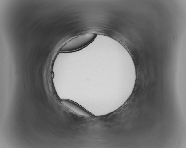 X0000115130289200911241451