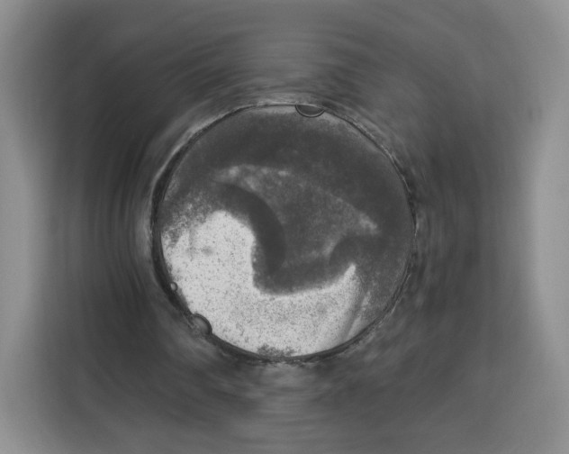 X0000115130290200911241451