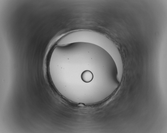 X0000115130294200911241451