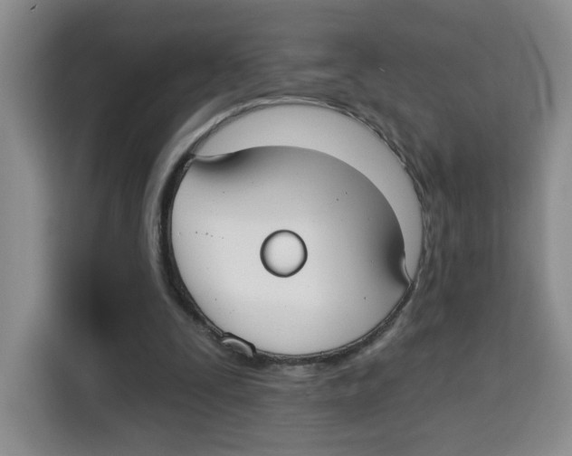 X0000115130295200911241451