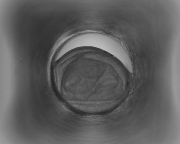 X0000115130296200911241451