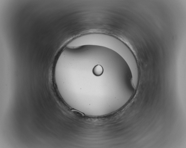 X0000115130297200911241451
