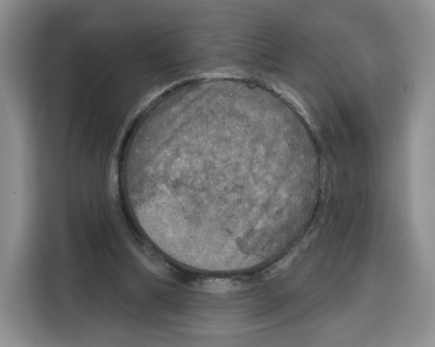 X0000115130298200911241451